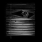 Peeking T-Shirt